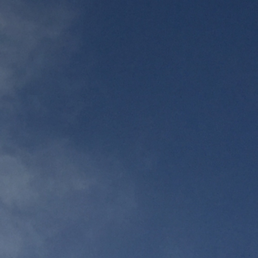 Meet your Posher, Eddie